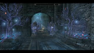 Archmage Quarters  Skyrim Special Edition House Mod [upl. by Anerok471]