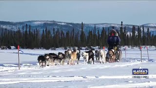 Iditarod favorites check in from Cripple [upl. by Fotina919]