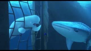 Finding Nemo Dorys Best Moments [upl. by Atalie]