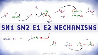 SN1 SN2 E1 E2 Reaction Mechanism Overview [upl. by Eiramasil204]