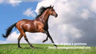 CABALLO VIEJOTABACO Y RONPOPURRITSAXO ELEGANTEde WILSON LÓPEZ [upl. by Gannie]