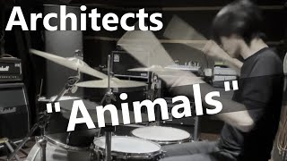 Architects  Animals Drum Cover [upl. by Ttsepmet]