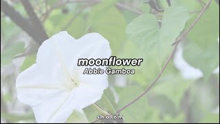 moonflower  Abbie Gamboa lyric video [upl. by Jacinta400]