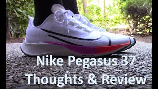 Nike Pegasus 37 Review and Thoughts [upl. by Kramlich]