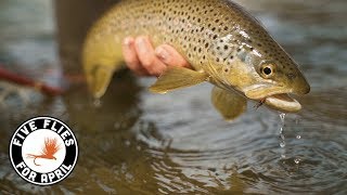 Five Flies for April 2019  Fly Fishing the Colorado River in Spring [upl. by Ttimme]