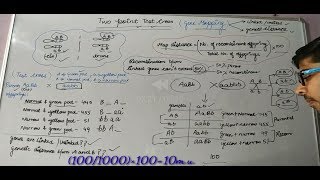 Gene mappingTwo point test cross part2  CSIR NET life science Lectures [upl. by Nyluqcaj]