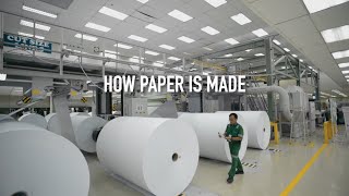 How Paper Is Made [upl. by Edora]