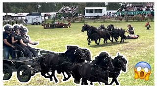 KÖR FYRSPANN SOM BLIND  Falsterbo Horse Show 2023 [upl. by Llecram]