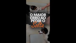 Maior ERRO ao pedir o SOLTA 😱  Adestramento Grátis  Cão Guardião [upl. by Yraek]