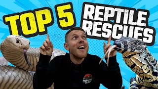 TOP 5 AUSSIE REPTILE RESCUES OF THE YEAR  VENOMOUS SNAKES PYTHONS amp LIZARDS [upl. by Aneen]