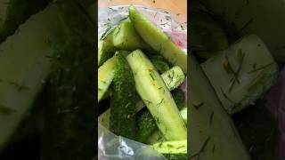 Gesalzene Dillgurken 🥒 gurken dill rezept [upl. by Tocci864]