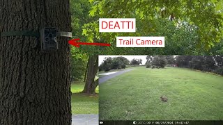 DEATTI 48MP Trail Camera night vision and SD card trailcam trailcamera hunting [upl. by Balbur]