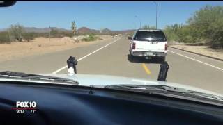 Arizona man invents device to stop highspeed pursuit suspects [upl. by Tadeo]