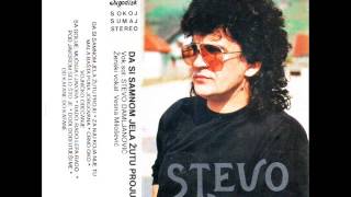 Stevo Damljanovic i DO Milije Milica  Mala basta puna jorgovana  Audio 1990 [upl. by Sharpe]