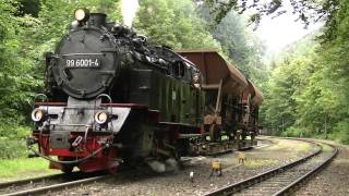 99 6001 mit Rollwagen in Steinerne Renne [upl. by Farver]