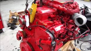 2010 Cummins ISL Diesel Engine Running [upl. by Ruscher]