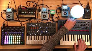 Korg Monologue Arturia MicroFreak Volca FM Novation Circuit Jam  Silver Glass [upl. by Quinlan]