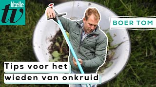 3 tips voor het verwijderen van onkruid  Boer Tom [upl. by Skilken]