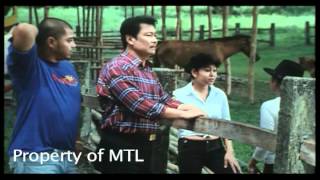 Tatlong Baraha  Part 58 2006 Movie  Lito Lapid Mark Lapid Maynard Lapid [upl. by Assenat759]