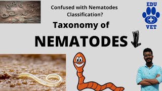 Phylum Nematoda Basics Veterinary Parasitology [upl. by Maillij]