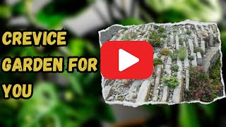 BEST CREVICE GARDEN FOR YOU  Garden Aesthetic [upl. by Sirroned129]