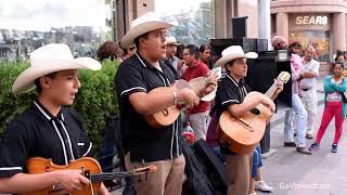 Huapangos por Eco Potosino  El Querreque El Caimán El Gusto El Aguanieve La Petenera y La Leva [upl. by Klimesh436]