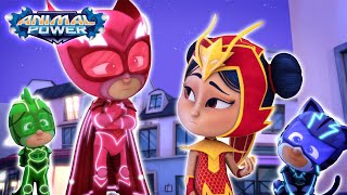 PJ Masks  The Power Of Mystery Mountain  FULL EPISODES  Season 5 NEW  Kids Show  Animation [upl. by Bradlee]