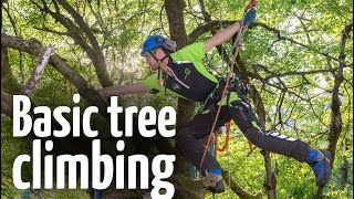 Simple amp safe tree climbing ascent technique [upl. by Falito]