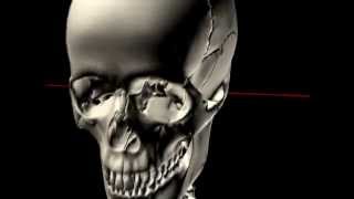 The Skull in Motion  Atlas and Occiput [upl. by Brainard145]