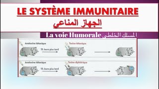 Le système immunitaire ملخص درس  réponse immunitaire spécifique à voie humorale [upl. by Kwapong]