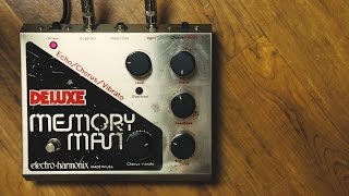 ElectroHarmonix Deluxe Memory Man [upl. by Hebel]