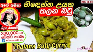 ✔ හිඳෙන්න උයන තලන බටුඑළබටු වෑංජනය Thalana batu curry by Apé Amma [upl. by Llegna]