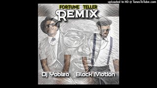 Dj Yobiza  Fortune teller Remix  Black Motion 2021 [upl. by Piscatelli]