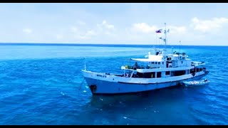 MY RESOLUTE LIVEABOARD  scuba diving holiday in Philippines  DIVE THE WORLD [upl. by Ruelu960]