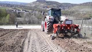 Weinbau  Bodenvorbereitung vor Wiederanpflanzung [upl. by Yrtua]