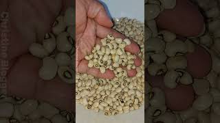 Cowpea beans recipe  Ganito pala ang mga benipisyo nito kaya ang sarap nito😋 by Christine Blogger [upl. by Redvers]