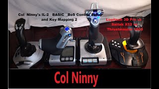 74 IL2 Col Ninnys New Control Setup  Saitek 52 vs Thrustmaster 16000 [upl. by Ibba]