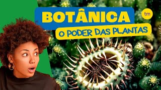 BOTÂNICA em 4 Minutos [upl. by Natan]