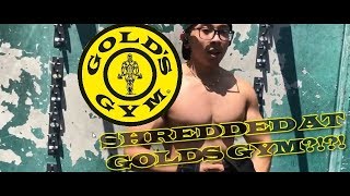 Is Golds Gym Venice the BEST GYM EVER  LA Vlog 1 [upl. by Kolb]