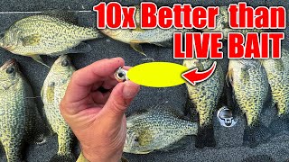 this New Lure OUT FISHES Live Bait 10 to 1 BEST Crappie amp Bass Winter Bait [upl. by Sandi]