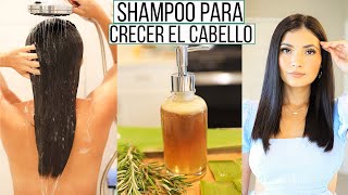 SHAMPOO DE ROMERO Y SABILA PARA CRECER EL CABELLO Y EVITAR LA CAIDA  Bessy Dressy [upl. by Verbenia]