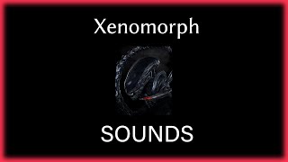 Dead by daylight  Xenomorph sounds [upl. by Fujio]