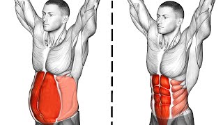 Abs Workout Abdominal Exercises [upl. by Fini338]