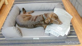 PetFusion Bolster Dog Bed amp Micro Plush Blanket [upl. by Maxa]