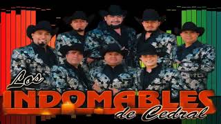 Los Indomables De Cedral En Pozo Seco 03 [upl. by Aciret473]