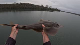 Pambula Lake Fishing My Biggest Catch Ever in Australia [upl. by Charlet]