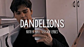 Ruth B  Dandelions  Male Version Lyrics [upl. by Loredana]