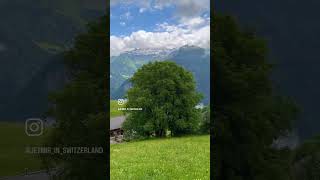 linthal glarus switzerland swiss suisse paradise video youtube shorts viralvideo fyp [upl. by Joleen689]