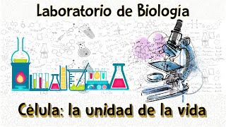 Práctica de laboratorio I La célula [upl. by Browne]