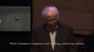 Postscript  Seamus Heaney [upl. by Gove]